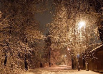 В лучах фонарей. «Автохозяйство» освещает горожанам праздники и будни