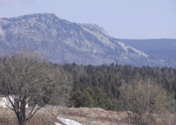 Прямо с колес. Златоустовским спасателям пришлось оказывать помощь велотуристу