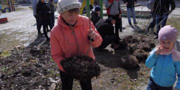 «Зеленая» волна