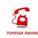 Для безработных Златоуста заработала «горячая линия»