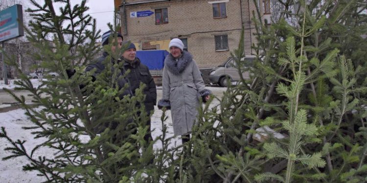 Здравствуй, дерево. В декабре начинают свою работу традиционные елочные базары