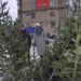 Здравствуй, дерево. В декабре начинают свою работу традиционные елочные базары