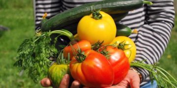 Вкусная традиция. Педагоги Златоуста поделились урожаем с ветеранами