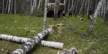 Чтобы пламя не побежало. Златоустовский лес защищают волонтерской акцией