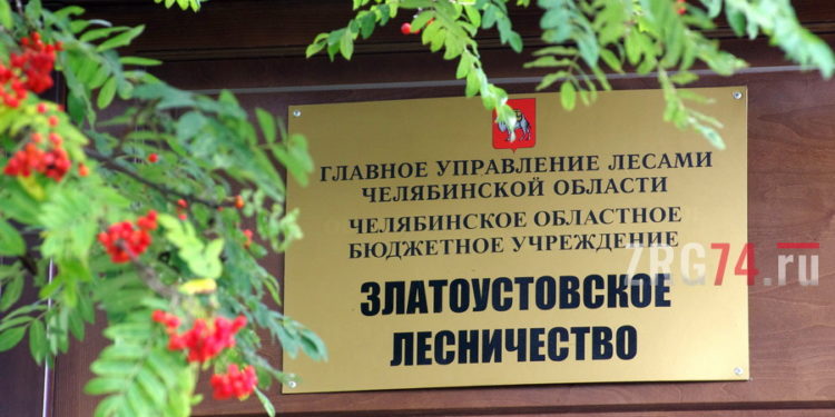 Щепки летят. Златоустовское лесничество попало под ликвидацию
