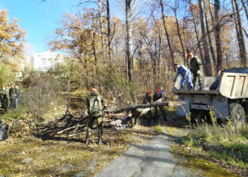 Инициатива возрождения. От златоустовцев ждут предложений по восстановлению старого парка