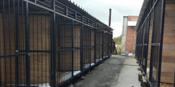 Стены помогают. В Златоусте построили вольеры для передержки бездомных животных