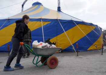 Не до шуток. Горожане объединились для спасения голодающих в Златоусте цирковых животных