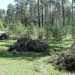 «Горожане должны знать». Мэр округа призвал активней информировать о вырубках в Златоусте