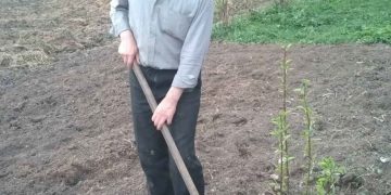 Сад памяти. Златоустовцы отметили отвагу родственников высадкой саженцев