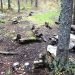 Палаткам здесь не место. Златоустовский нацпарк объявил бой туристам-дикарям