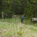 Тропой через Златоуст. Южноуральский проект вышел в финал всероссийского конкурса туристских кластеров