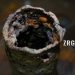 Взяли разбег. Легкоатлеты из Златоуста стали призерами престижных региональных состязаний