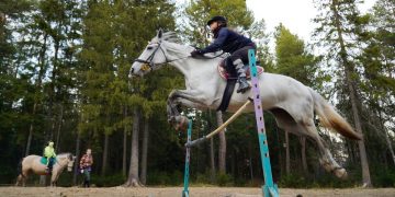 Планка взята. В Златоусте конный клуб ожидает новая тренировочная площадка