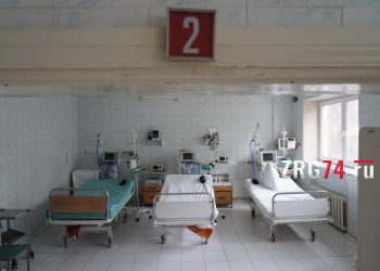 Почувствовала себя хозяйкой. Златоустовцы поведали историю приручения рыжей плутовки
