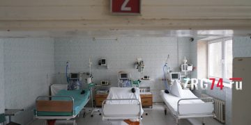 Почувствовала себя хозяйкой. Златоустовцы поведали историю приручения рыжей плутовки