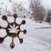 Взял в тиски. Мастер из Златоуста справился с коронавирусом в одиночку