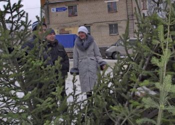 Открыли с иголочки. Златоустовцам объявили места расположения елочных базаров