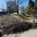 Сперва посчитать? В Златоусте вывоз мусора после субботников затормозило разграничение ответственности