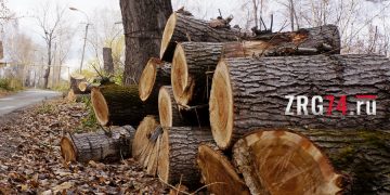 Скверы и сносы. Депутаты обозначили недочеты в благоустройстве одного из районов Златоуста