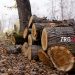 Скверы и сносы. Депутаты обозначили недочеты в благоустройстве одного из районов Златоуста