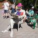 Распахнули крылья. «Златоустовский рабочий» встретил гостей крупного фестиваля креативом и лайфхаками
