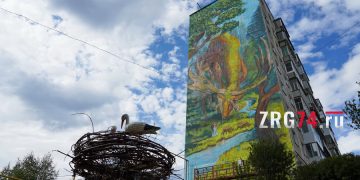 Арт-философия Златоуста. На Южном Урале завершился фестиваль «Наш MURAL»