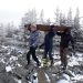 Верх мастерства. В Златоусте благоустройство экотропы «Уреньга» завершают работами на высоте