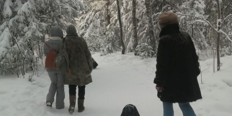 На тюбинге — особенно. Тропы нацпарка под Златоустом официально закрыли для забав
