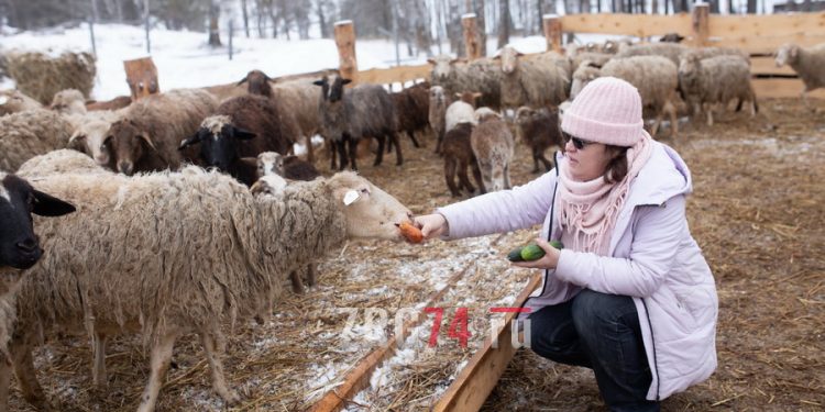 Тайны Тайнака. «Златоустовский рабочий» пригласил на прогулку в отдаленный уголок округа
