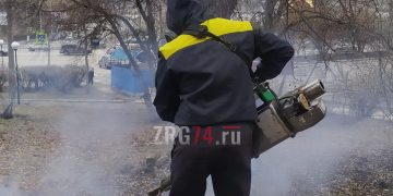 Дорогу креативным. Златоустовцев пригласили поучаствовать в конкурсе губернаторских грантов