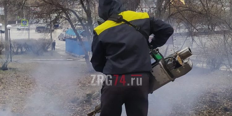 Дорогу креативным. Златоустовцев пригласили поучаствовать в конкурсе губернаторских грантов