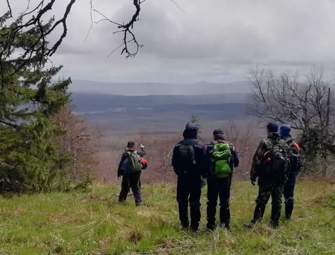 Сбились в сумерках. В Златоусте отыскали плутавших по лесу более суток  пенсионеров | Златоустовский рабочий | Новости Златоуста