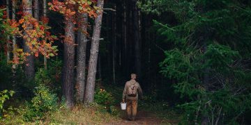 Обряд против ядов. Эксперты напомнили златоустовцам о способах обработки лесных грибов