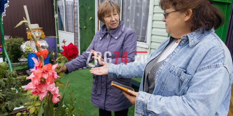 Красоты много не бывает. Жительница Златоуста превратила двор своего дома в сказочную оранжерею
