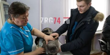 Под одной крышей. Государственная ветклиника в Златоусте сменила адрес