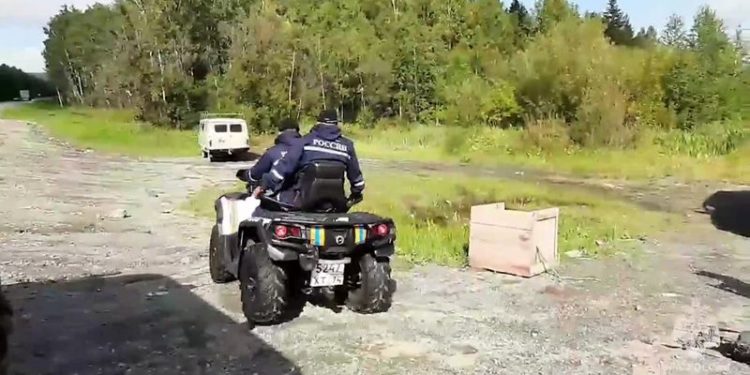 Вышла сама. Пропавшую в лесу близ Златоуста женщину отыскали у трассы М-5