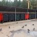 Учли переработку. Челябинская область вошла в «зелёный» топ