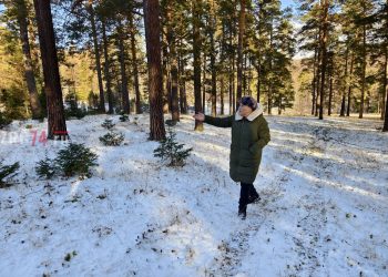 Красная метка для леса. Жители одного из районов Златоуста обеспокоились сохранностью популярного места отдыха