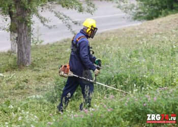 Коси коса. Мэрия Златоуста объявила о начале поисков подрядчика для выполнения работ по покосу травы
