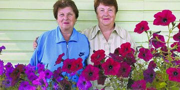 Краски будней. Златоустовцы оживили клумбы под своими балконами яркими цветами