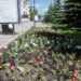 Превращая город в сад. Более 50 тысяч цветов украсят улицы Златоуста