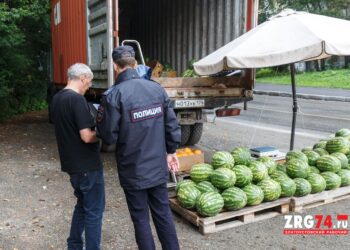 Торгуют где попало. В Златоусте усилили борьбу с нелегальными сезонными точками